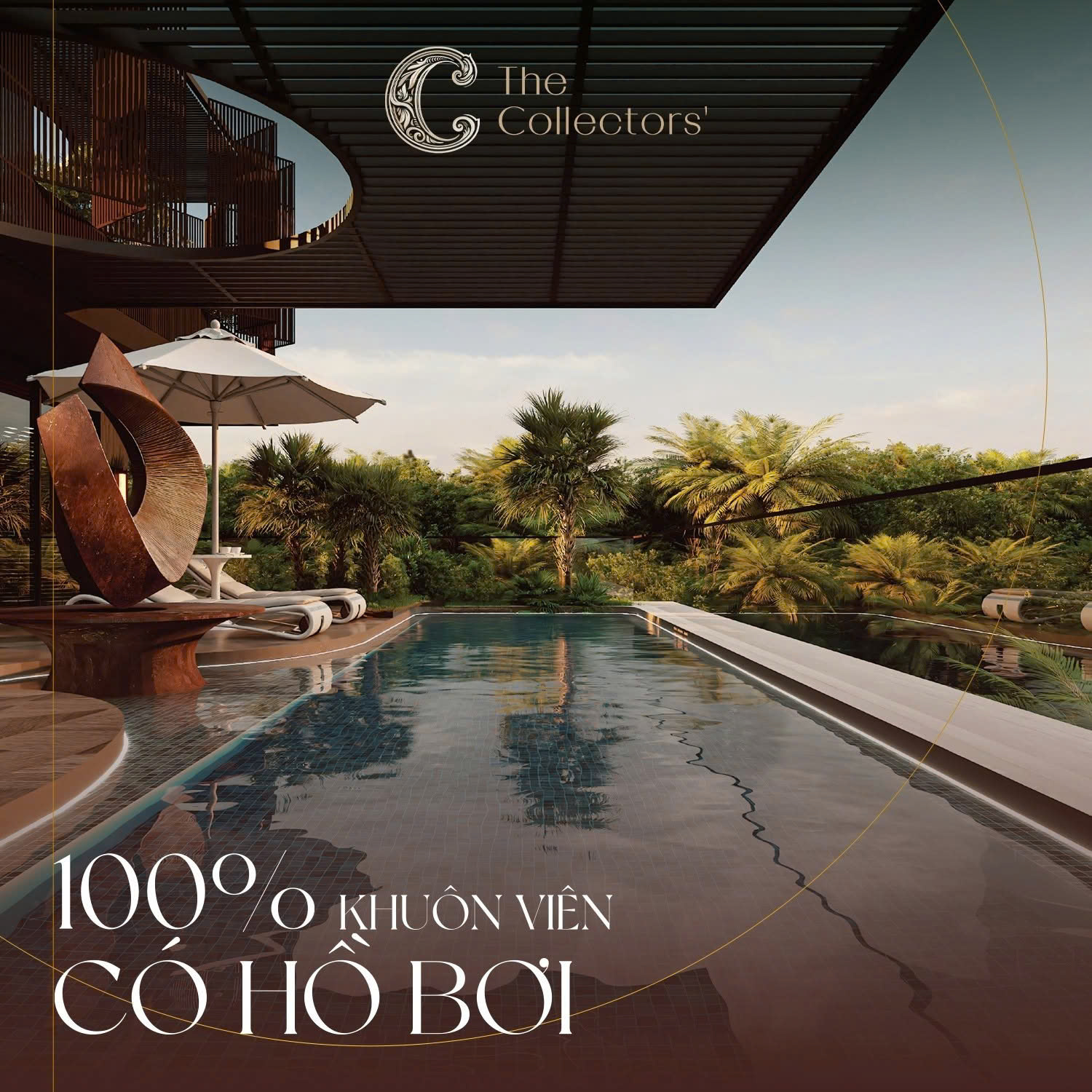 the collectors (6)